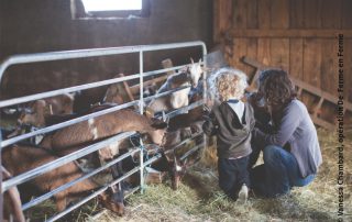 de-ferme-en-ferme